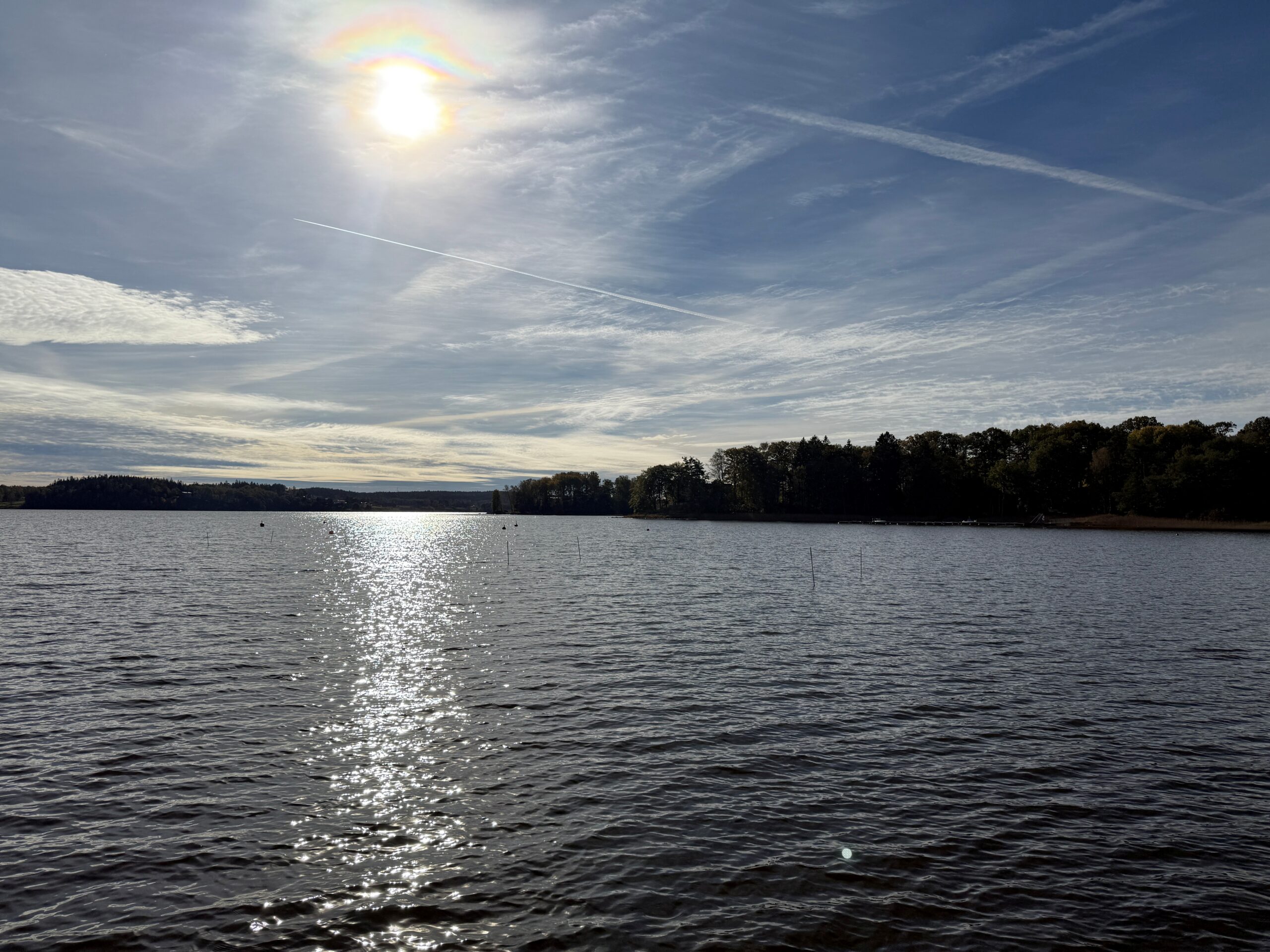 Bild på Mjörn i sommarsol, med trädkantad strandlinje till höger i bild.
